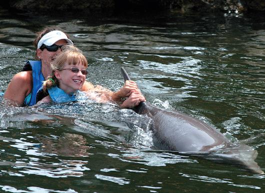 A young gures enjoys a dorsal pull with a little help from staff at the Dolphin Research Center in Grassy Key, Florida